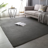 Modern Minimalist Coral Fleece Carpet